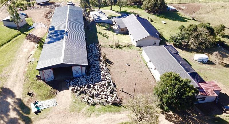 0 Bedroom Property for Sale in Harrismith Free State